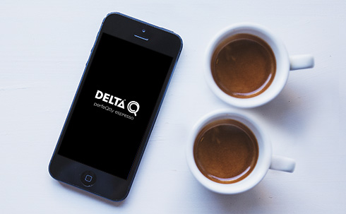 DeltaQ Perfect Match Digital Campaign